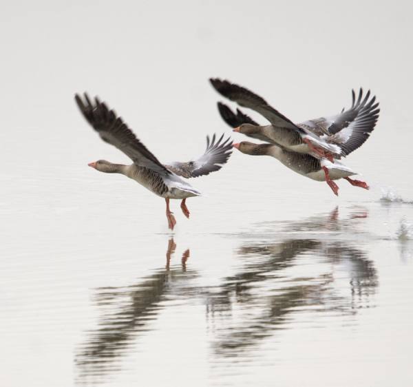 Photograph Gert Van Den Bosch It Is Time To Leave on One Eyeland